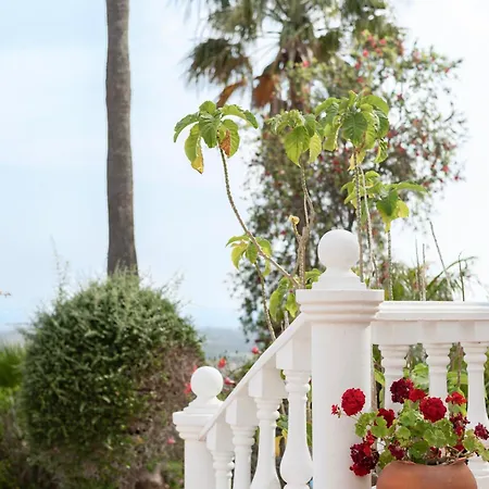 Mia - Luxury Near Loule Almancil Goldra de Baixo